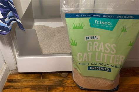 6 Best Natural Cat Litters (2024) Biodegradable.